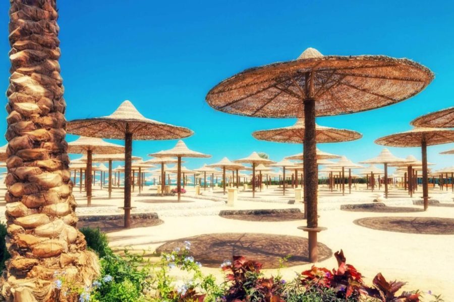 Egypt Special Tour Package