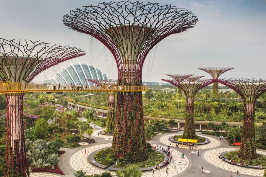 Singapore Tour Package