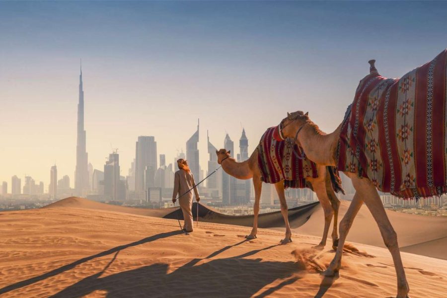 Star Dubai Tour Package